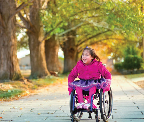 A guideline for choosing mobility bases