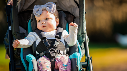 Strollers-Thoughts and Considerations for Positioning Function and Lifestyle Needs