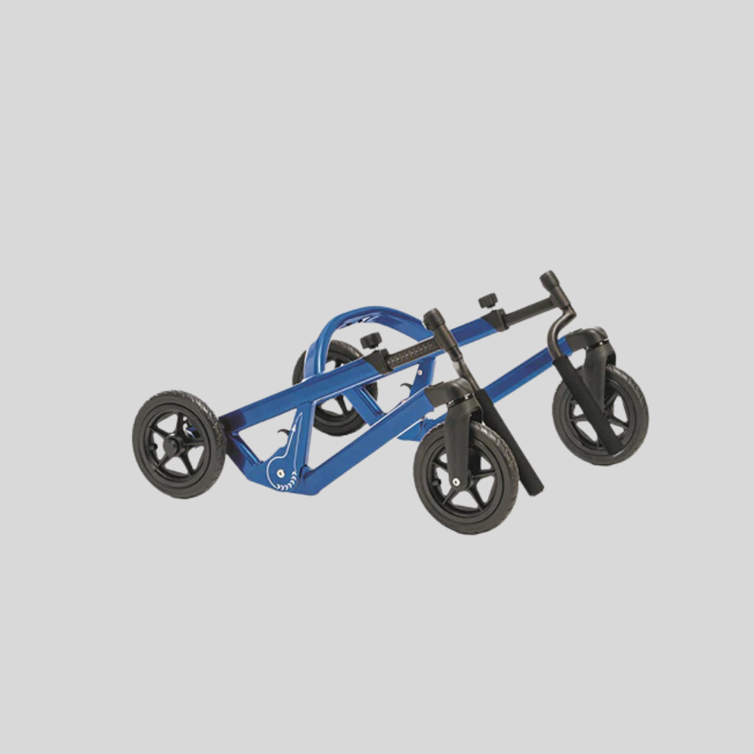Schuchmann Malte Posterior Walkers