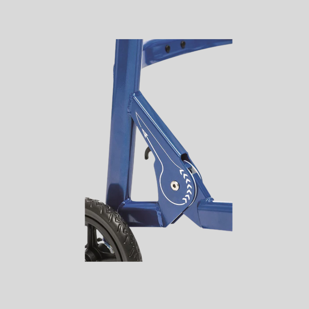 Schuchmann Malte Posterior Walkers