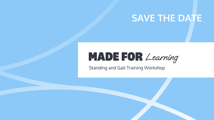 Standing and Gait Training Workshop