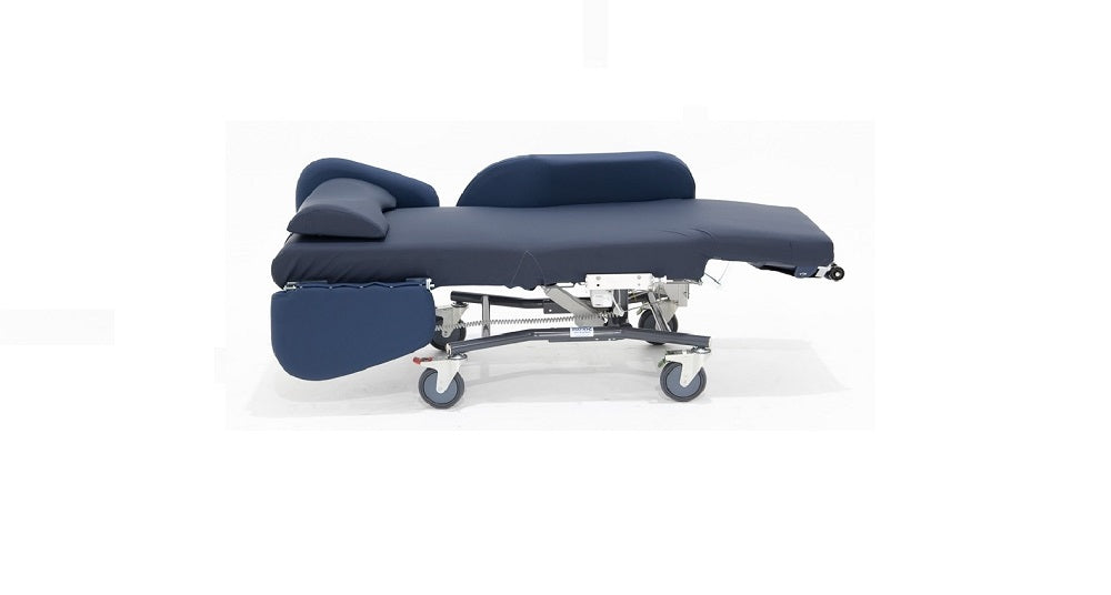 Regency Carer Chair Electric with NT Arm Standard Size