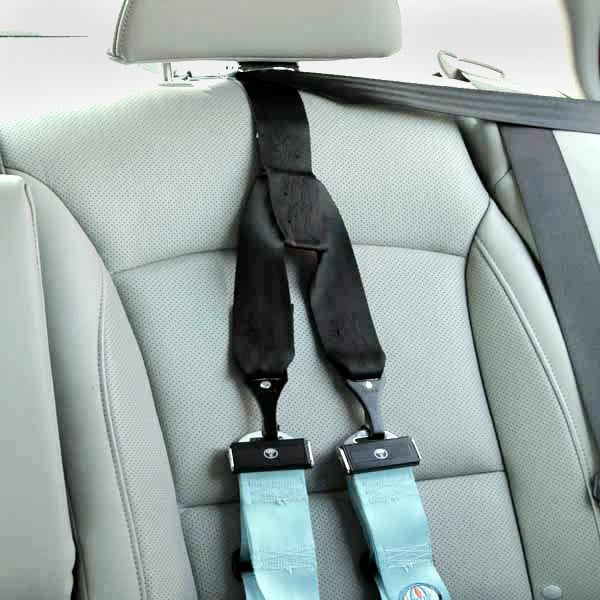 EZ-ON Transport Postural Harness System for Tether Mount